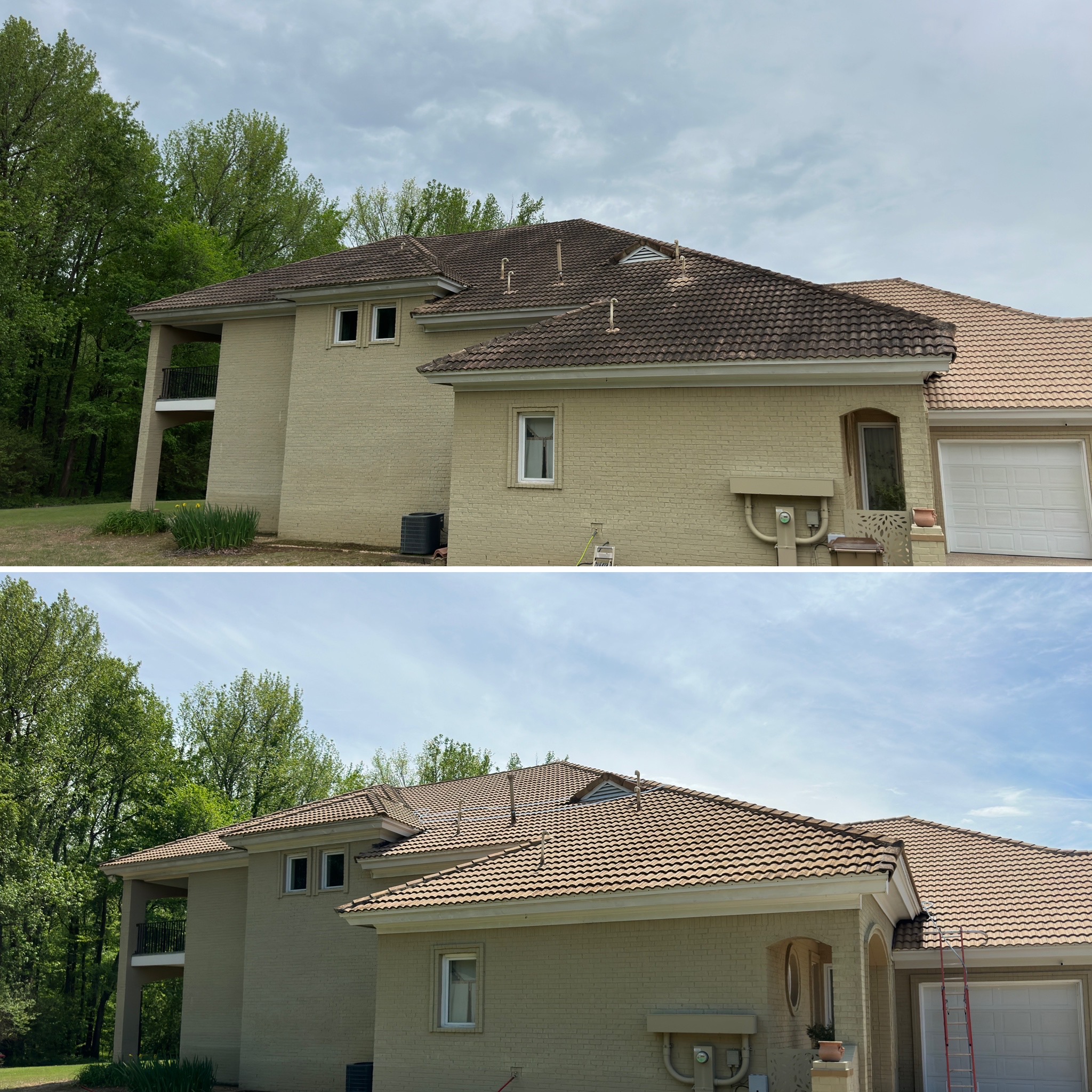 Softwashing- Roof Cleaning in Lakeland, TN